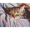 Diamond Painting - Sleeping Kitty