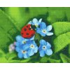 Diamond Painting - Ladybug on Blue Flowers