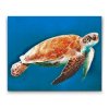 Diamond Painting - Sea Turtle