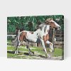 Paint by Number - Horse in the Corral