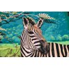 Paint by Number - Wild Zebra