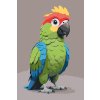 M11_Painting_by_Numbers_-_Parrot_for_children