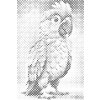 M11_Dotting_Points_-_Parrot_for_children