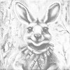 M11_Dotting_Points_-_Cheerful_kangaroo