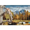 Paint by Number - Owl in the Forest
