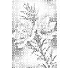 M11_Dotting_Points_-_Rosemary_flower