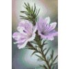 M11_Diamond_Paintings_-_Rosemary_flower