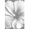 M11_Dotting_Points_-_Hibiscus_flower
