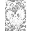 M11_Dotting_Points_-_Pansy_flower