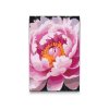 M2_Painting_by_Numbers_-_Peony_flower
