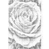M11_Dotting_Points_-_Rose_flower