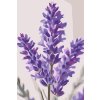 M11_Painting_by_Numbers_-_Lavender_flower