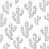 M11_Dotting_Points_-_Cacti_in_bloom
