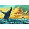 Paint by Number - Whales at Daybreak