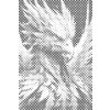 M11_Dotting_Points_-_Colourful_phoenix