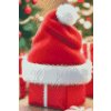 M11_Diamond_Paintings_-_Christmas_hat