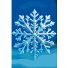 M11_Painting_by_Numbers_-_Snowflake