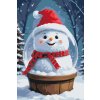 M11_Painting_by_Numbers_-_Snow_globe_with_a_snowman