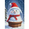 M11_Diamond_Paintings_-_Snow_globe_with_a_snowman