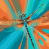 M11_Painting_by_Numbers_-_Dragonfly_in_shades_of_turquoise_and_orange