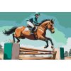M11_Painting_by_Numbers_-_Horse_riding