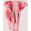Paint by Number - Pink Elephant