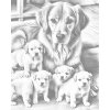 M11_Dotting_Points_-_Golden_retriever_and_puppies