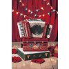 M11_Painting_by_Numbers_-_Accordion
