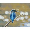 Diamond Painting - Kingfisher on the Branch