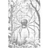 M11_Dotting_Points_-_Scary_spider