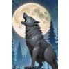 M11_Diamond_Paintings_-_Wolf_in_the_night