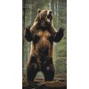 M11_Painting_by_Numbers_-_Big_grizzly