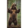 M11_Diamond_Paintings_-_Big_grizzly