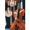 M11_Painting_by_Numbers_-_Cello_in_the_hall