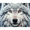 M11_Diamond_Paintings_-_Snowy_wolf