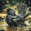 M11_Painting_by_Numbers_-_Bird_bath