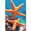M11_Painting_by_Numbers_-_Starfish