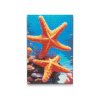 M2_Diamond_Paintings_-_Starfish
