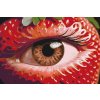 M11_Painting_by_Numbers_-_Strawberry_eye