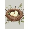 M11_Painting_by_Numbers_-_Bird's_nest