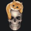 Paint by Number - Kitty on a Skull