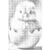 M11_Dotting_Points_-_Easter_chick_in_the_eggshell