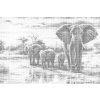 M11_Dotting_Points_-_Savannah_–_Travelling_with_elephants
