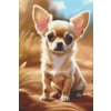 M11_Diamond_Paintings_-_Chihuahua