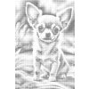 M11_Dotting_Points_-_Chihuahua