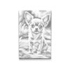 M2_Dotting_Points_-_Chihuahua