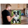 M9_Diamond_Paintings_-_Border_Collie_puppy
