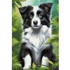 M11_Diamond_Paintings_-_Border_Collie_puppy