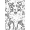 M11_Dotting_Points_-_Border_Collie_puppy