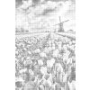 M11_Dotting_Points_-_Windmills_in_a_field_of_tulips